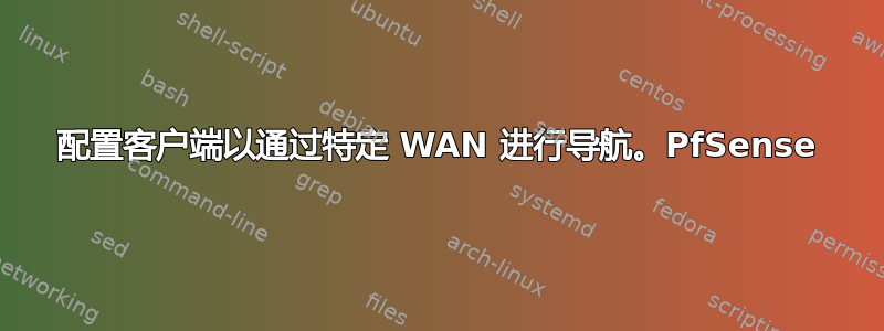 配置客户端以通过特定 WAN 进行导航。PfSense