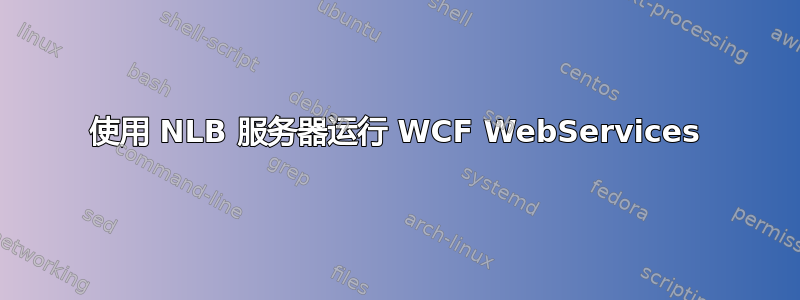 使用 NLB 服务器运行 WCF WebServices