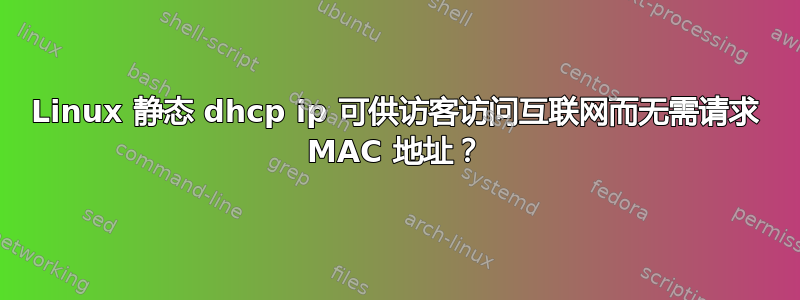 Linux 静态 dhcp ip 可供访客访问互联网而无需请求 MAC 地址？