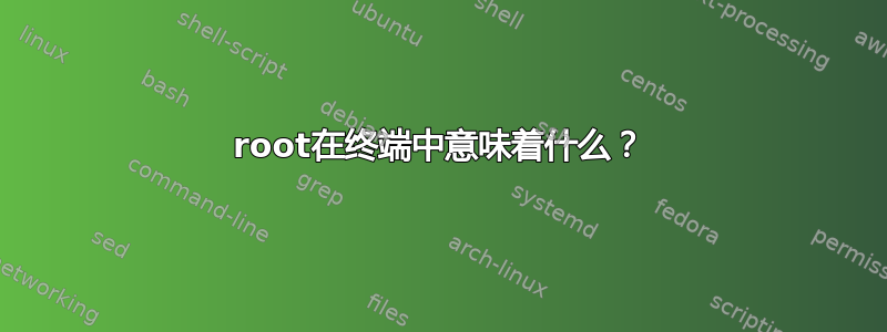 root在终端中意味着什么？