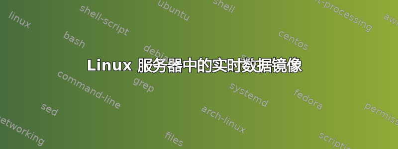 Linux 服务器中的实时数据镜像 