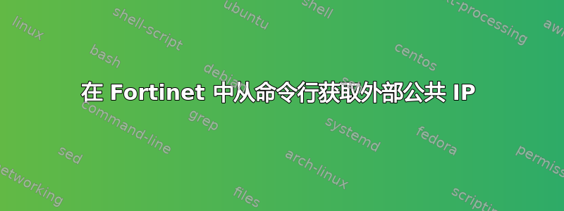 在 Fortinet 中从命令行获取外部公共 IP