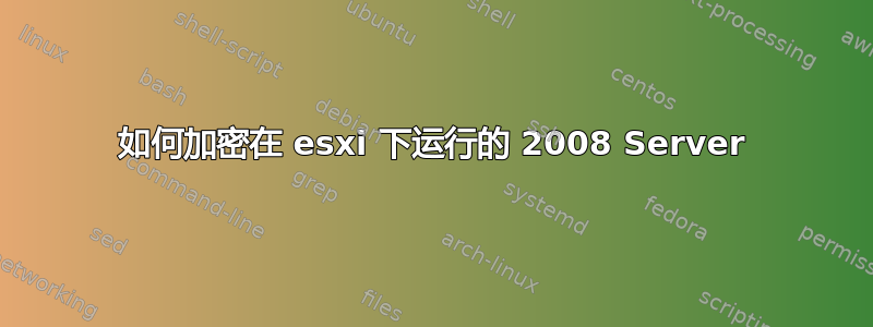 如何加密在 esxi 下运行的 2008 Server