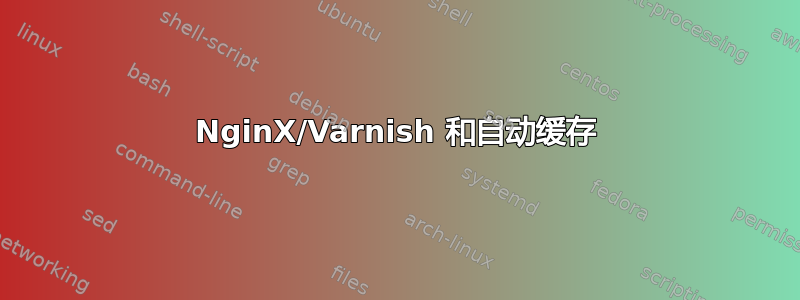 NginX/Varnish 和自动缓存