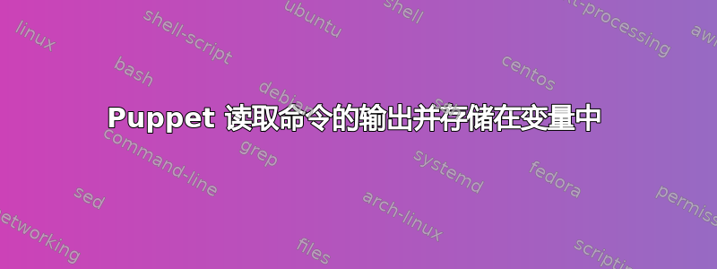 Puppet 读取命令的输出并存储在变量中