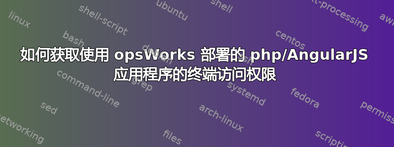 如何获取使用 opsWorks 部署的 php/AngularJS 应用程序的终端访问权限