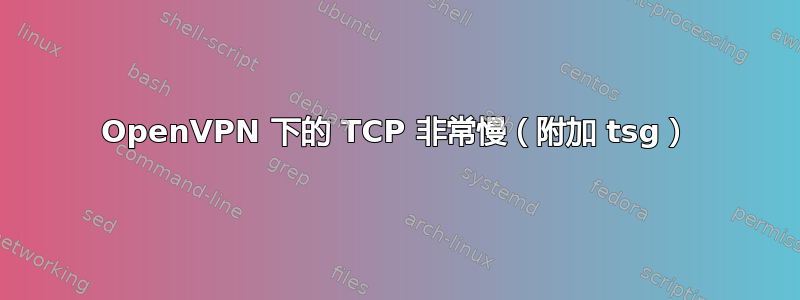 OpenVPN 下的 TCP 非常慢（附加 tsg）