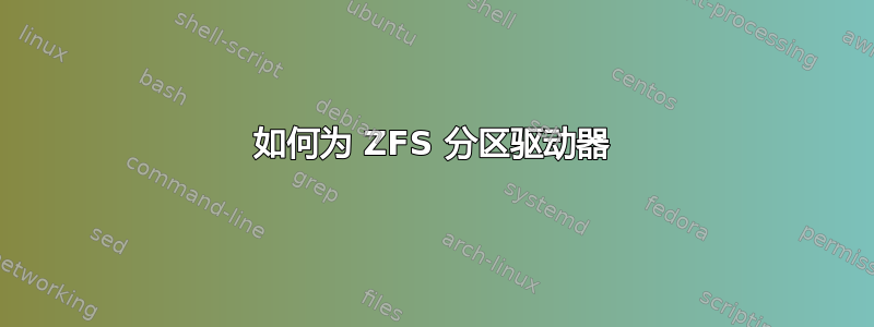 如何为 ZFS 分区驱动器