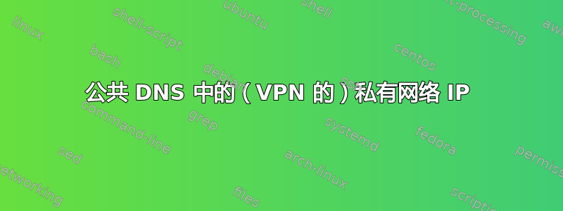 公共 DNS 中的（VPN 的）私有网络 IP