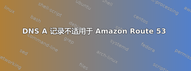 DNS A 记录不适用于 Amazon Route 53