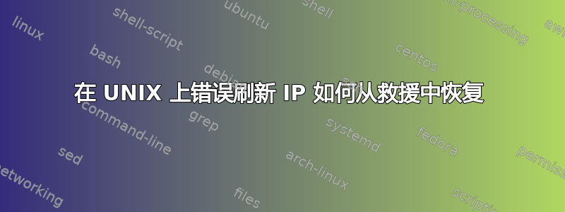 在 UNIX 上错误刷新 IP 如何从救援中恢复