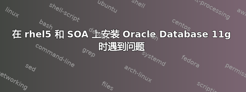 在 rhel5 和 SOA 上安装 Oracle Database 11g 时遇到问题