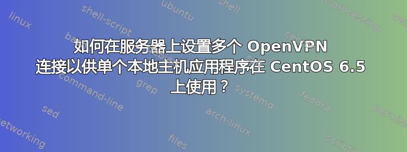 如何在服务器上设置多个 OpenVPN 连接以供单个本地主机应用程序在 CentOS 6.5 上使用？