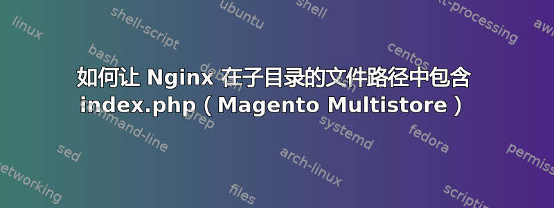 如何让 Nginx 在子目录的文件路径中包含 index.php（Magento Multistore）