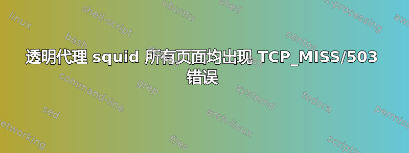 透明代理 squid 所有页面均出现 TCP_MISS/503 错误