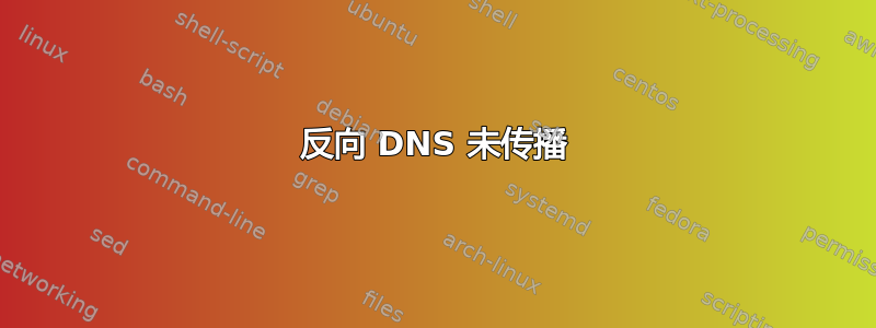 反向 DNS 未传播