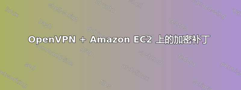 OpenVPN + Amazon EC2 上的加密补丁