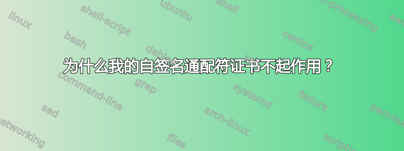 为什么我的自签名通配符证书不起作用？