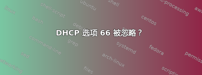 DHCP 选项 66 被忽略？