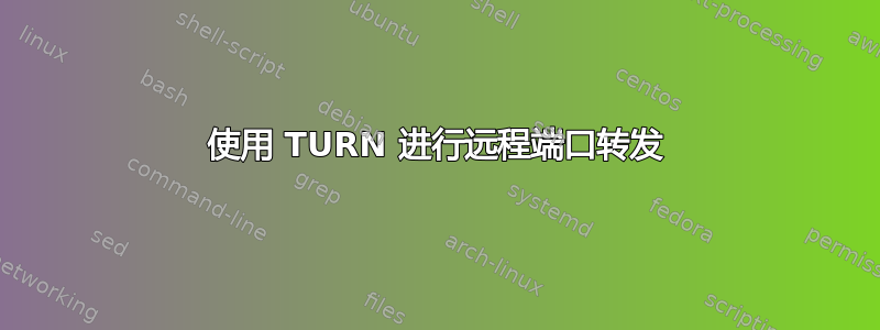 使用 TURN 进行远程端口转发