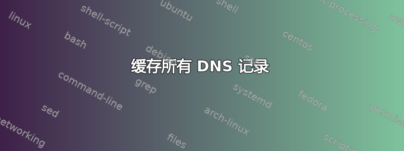 缓存所有 DNS 记录