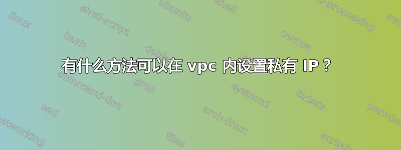 有什么方法可以在 vpc 内设置私有 IP？