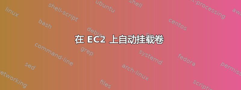 在 EC2 上自动挂载卷