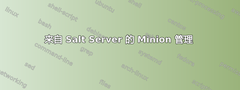 来自 Salt Server 的 Minion 管理