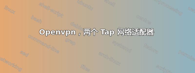 Openvpn，两个 Tap 网络适配器