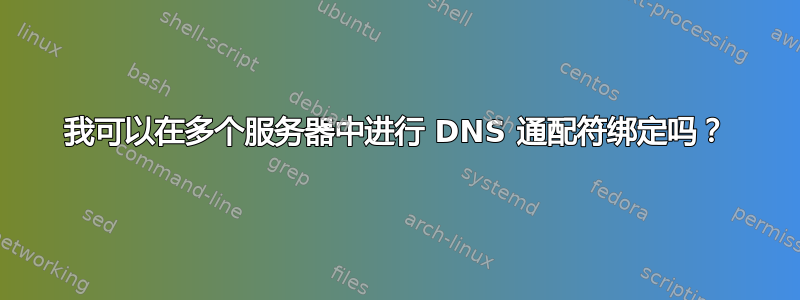 我可以在多个服务器中进行 DNS 通配符绑定吗？