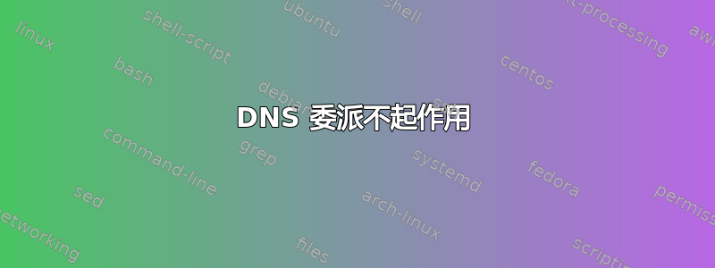 DNS 委派不起作用