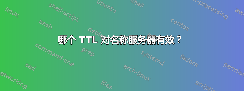 哪个 TTL 对名称服务器有效？