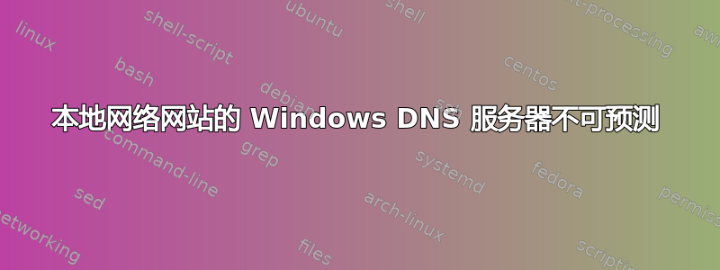 本地网络网站的 Windows DNS 服务器不可预测