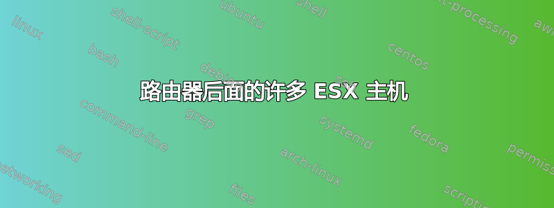 路由器后面的许多 ESX 主机