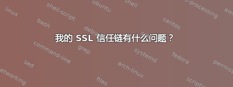 我的 SSL 信任链有什么问题？