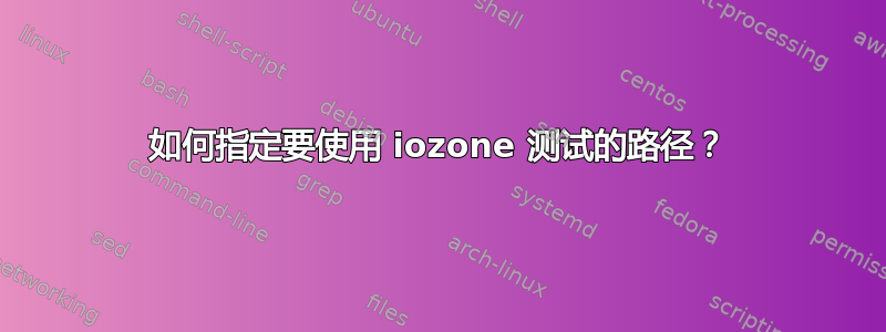 如何指定要使用 iozone 测试的路径？