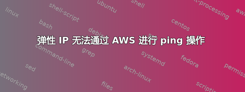 弹性 IP 无法通过 AWS 进行 ping 操作