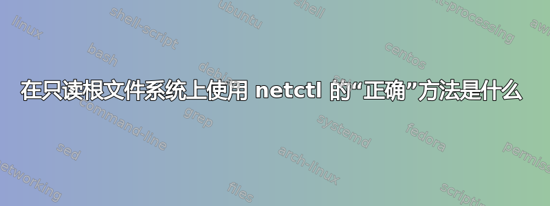 在只读根文件系统上使用 netctl 的“正确”方法是什么