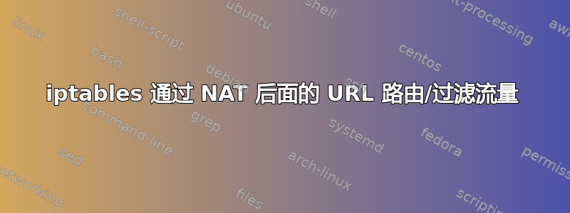 iptables 通过 NAT 后面的 URL 路由/过滤流量