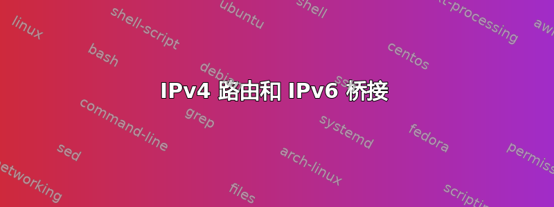 IPv4 路由和 IPv6 桥接