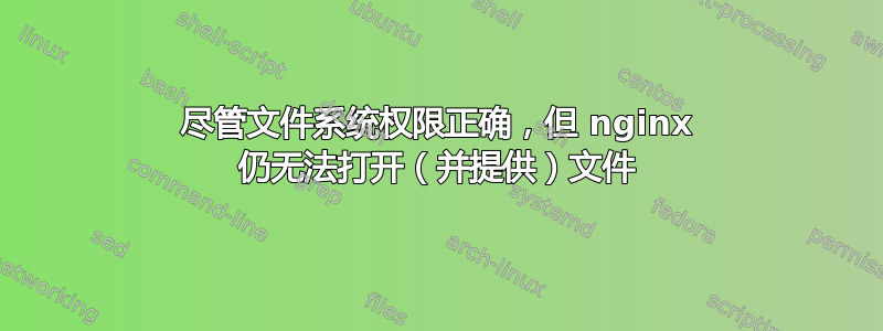 尽管文件系统权限正确，但 nginx 仍无法打开（并提供）文件