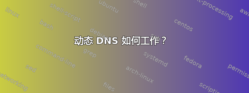 动态 DNS 如何工作？ 