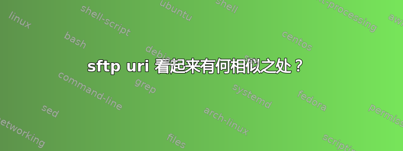 sftp uri 看起来有何相似之处？ 