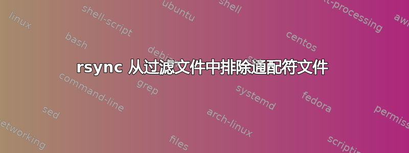 rsync 从过滤文件中排除通配符文件