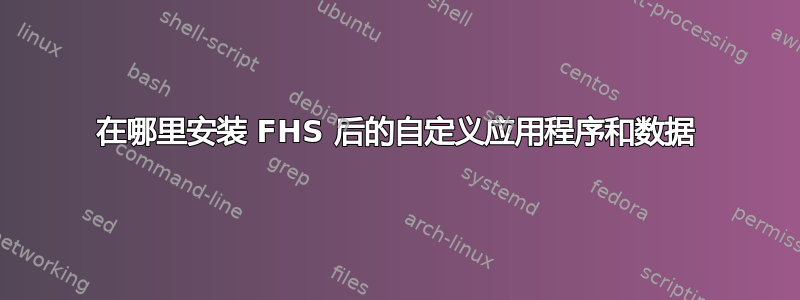 在哪里安装 FHS 后的自定义应用程序和数据