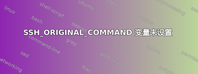 SSH_ORIGINAL_COMMAND 变量未设置