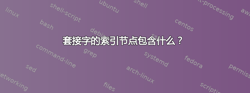 套接字的索引节点包含什么？