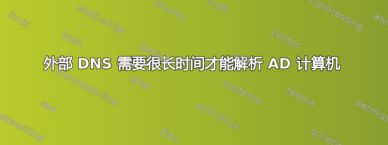 外部 DNS 需要很长时间才能解析 AD 计算机