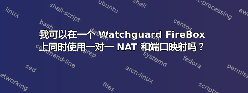 我可以在一个 Watchguard FireBox 上同时使用一对一 NAT 和端口映射吗？