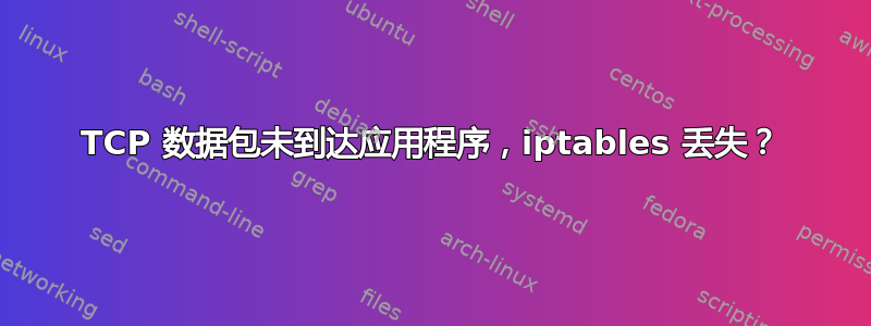 TCP 数据包未到达应用程序，iptables 丢失？